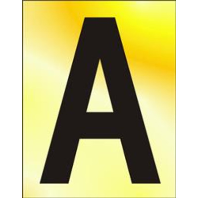 ASEC 75mm Brass Letters & Numerals - 8
